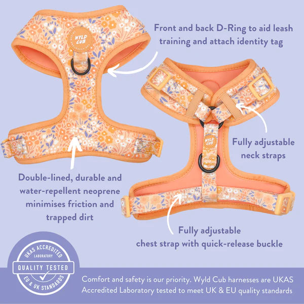 Adjustable Dog Harness | Notting Hill Buttercup