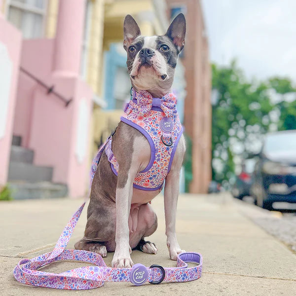 Dog Bow Tie | Notting Hill Lilac