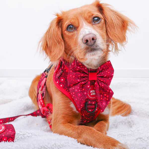 Adjustable Dog Harness | Notting Hill Mulberry