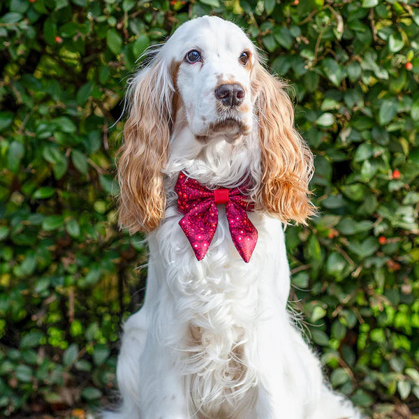 Dog Sailor Bow Tie | Notting Hill Mulberry