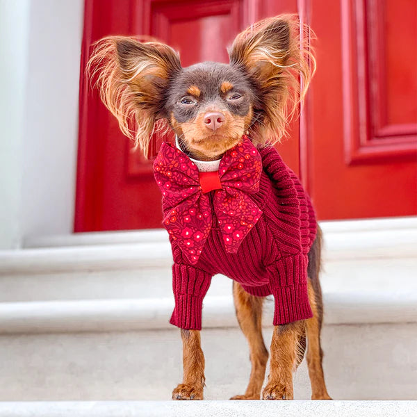 Dog Sailor Bow Tie | Notting Hill Mulberry