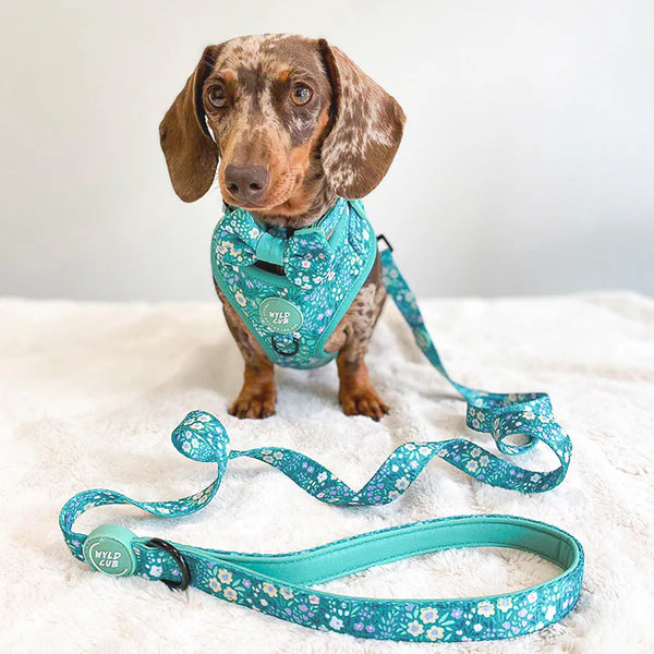 Adjustable Dog Harness | Notting Hill Mint