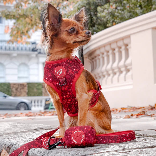 Dog Poop Bag Holder | Notting Hill Mulberry