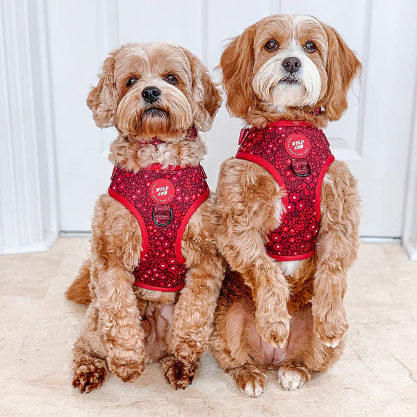 Adjustable Dog Harness | Notting Hill Mulberry