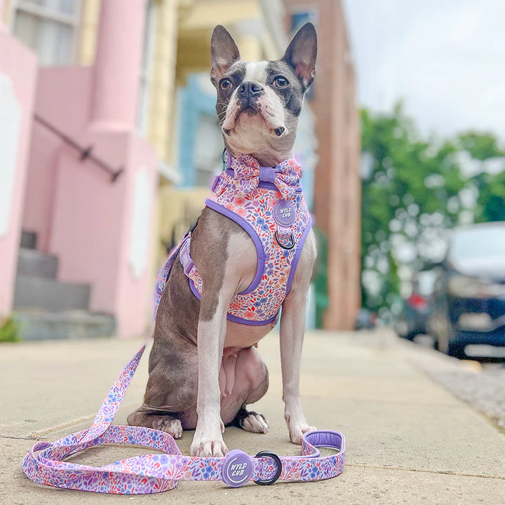 Adjustable Dog Harness | Notting Hill Lilac