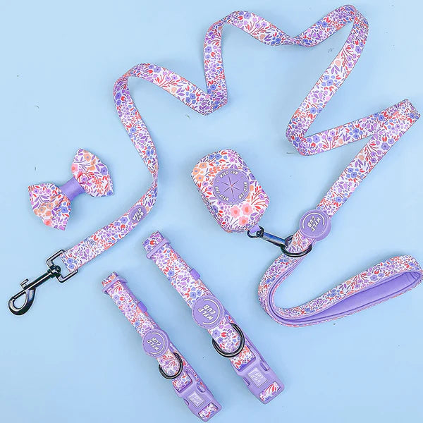 Dog Leash | Notting Hill Lilac