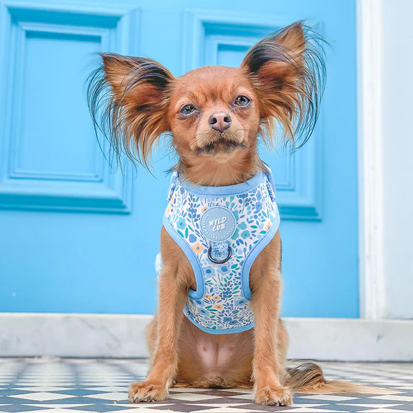 Adjustable Dog Harness | Notting Hill Sky