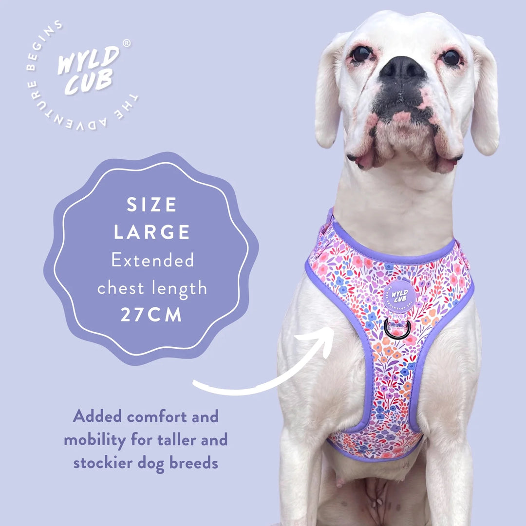 Adjustable Dog Harness | Notting Hill Lilac