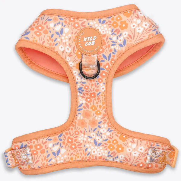 Adjustable Dog Harness | Notting Hill Buttercup
