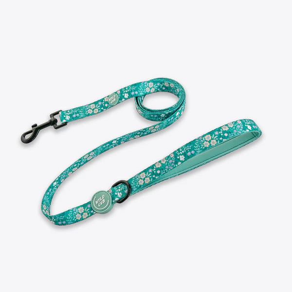Dog Leash | Notting Hill Mint