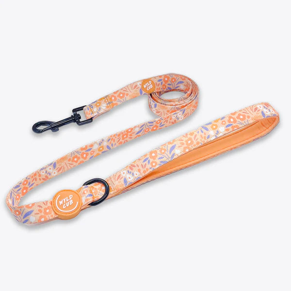 Dog Leash | Notting Hill Buttercup