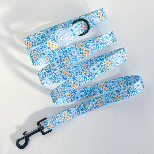 Dog Leash | Notting Hill Sky