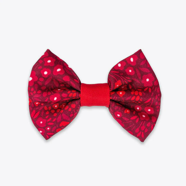 Dog Bow Tie | Notting Hill Mulberry