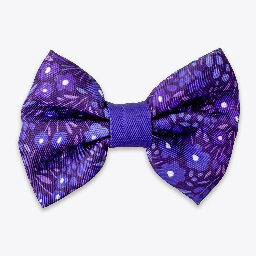 Dog Bow Tie | Notting Hill Blackberry