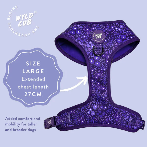 Adjustable Dog Harness | Notting Hill MBlackberry