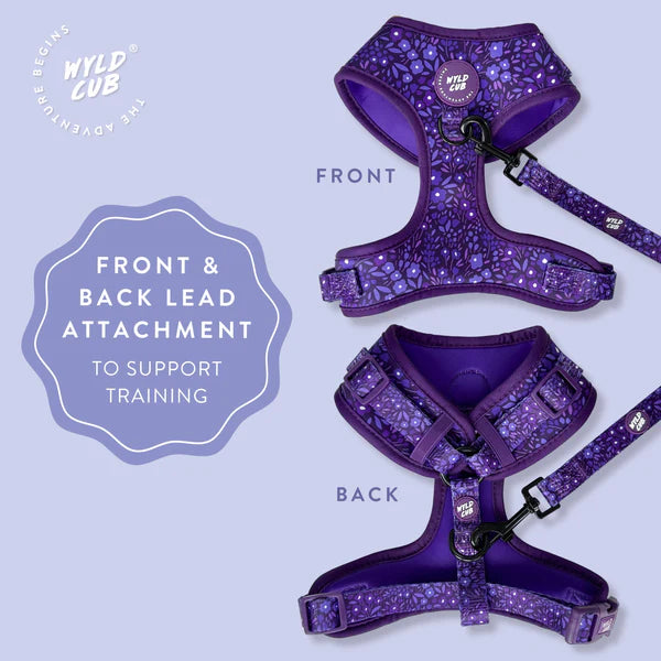 Adjustable Dog Harness | Notting Hill MBlackberry