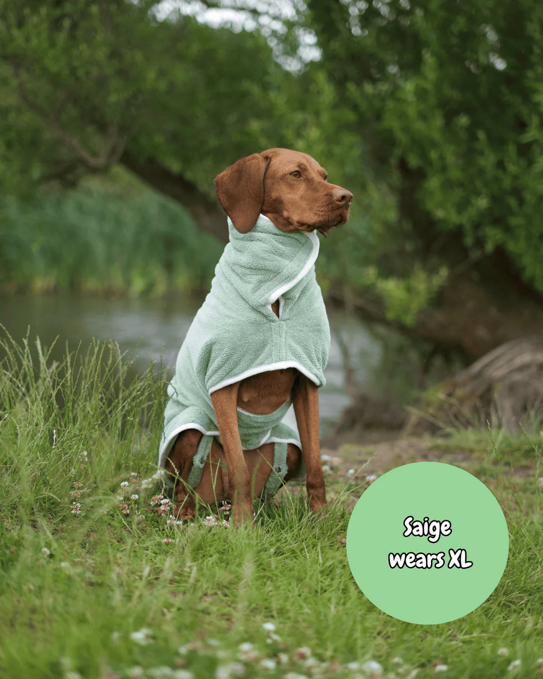Dog Drying Coat | Sage Green