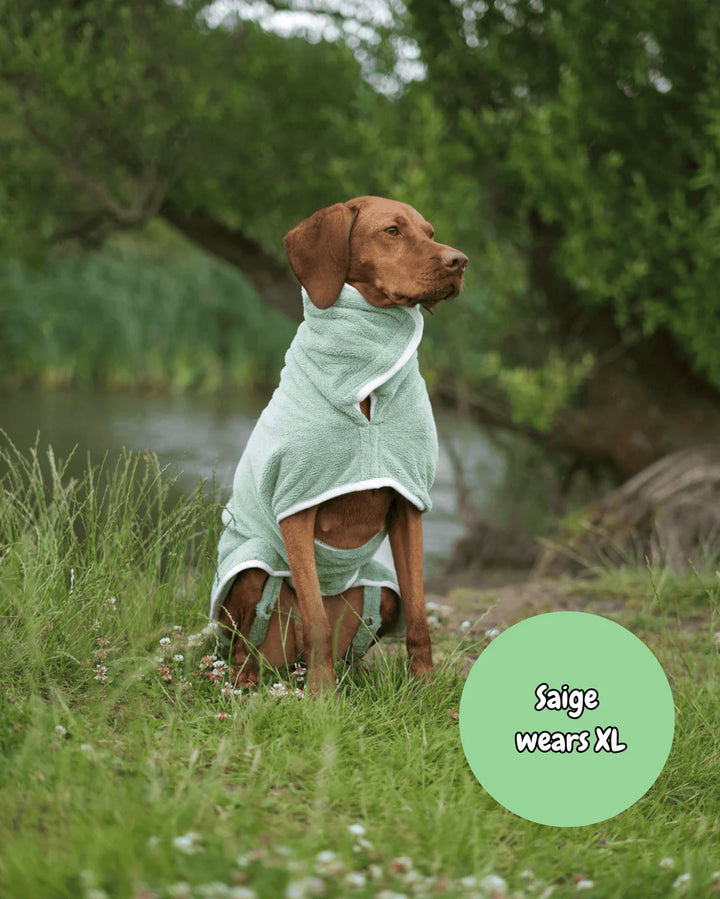 Dog Drying Coat | Sage Green