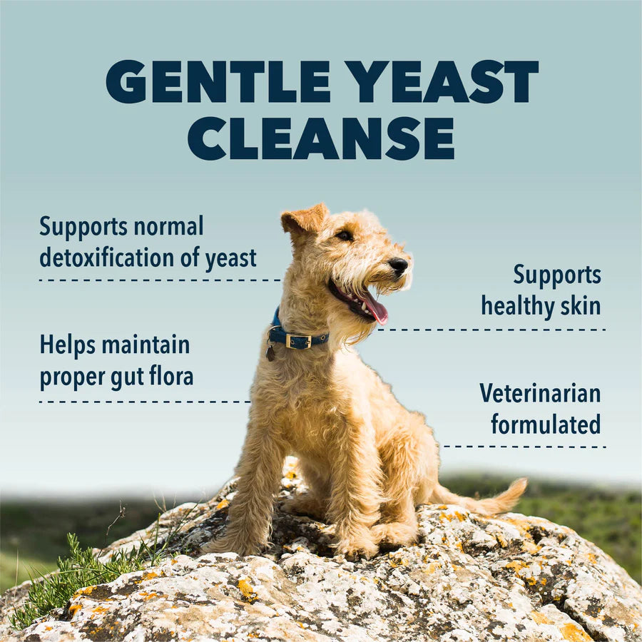 Yeast Guard - Gentle Yeast Cleanse For Dogs