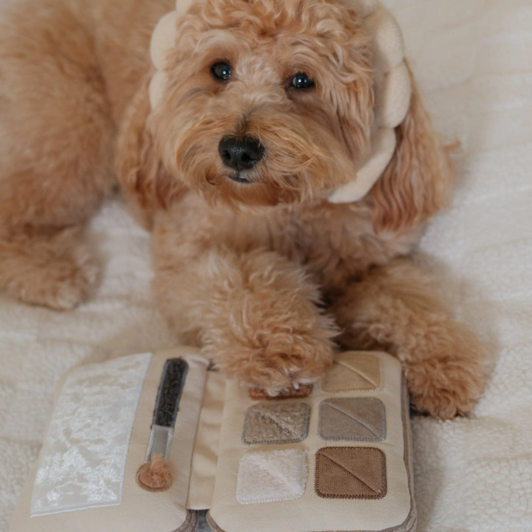Eyeshadow Palette