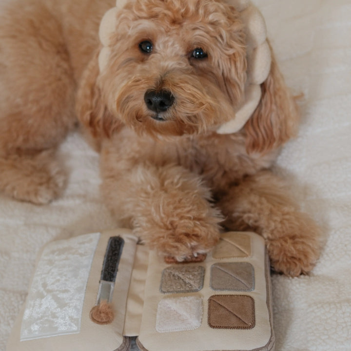 Eyeshadow Palette
