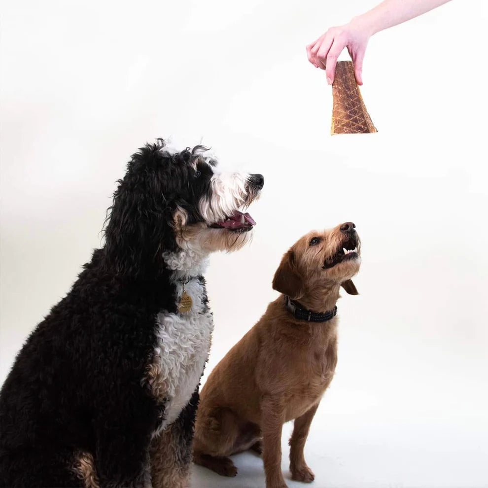 Crunchy Beef Jerky Treats