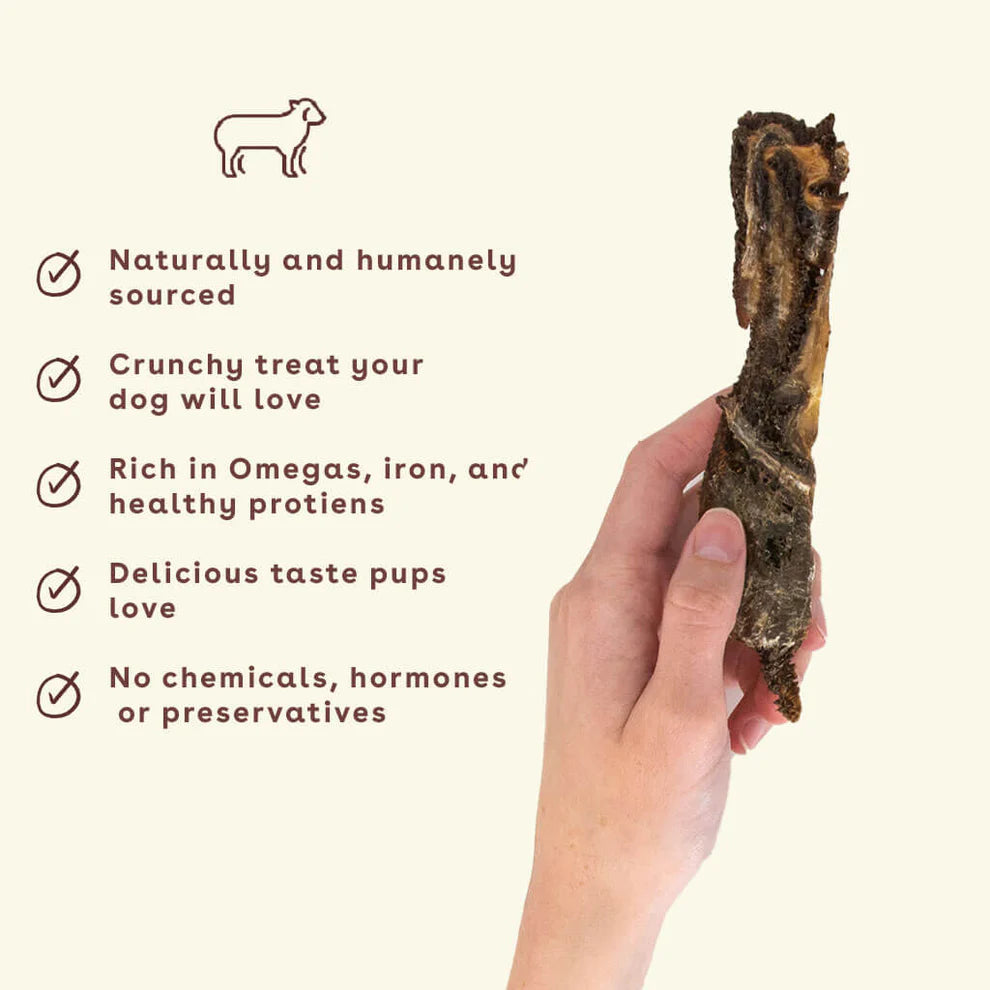 Crunchy Lamb Jerky Treats