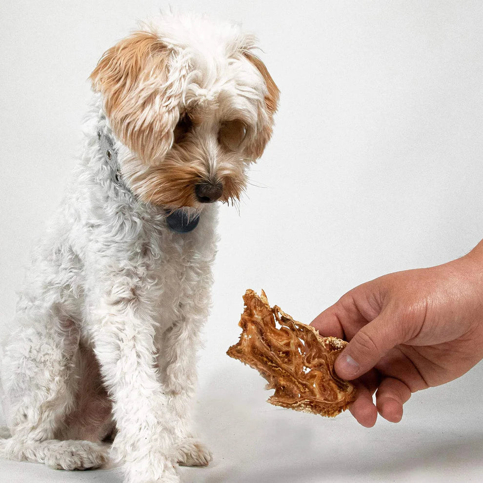 Crunchy Lamb Jerky Treats