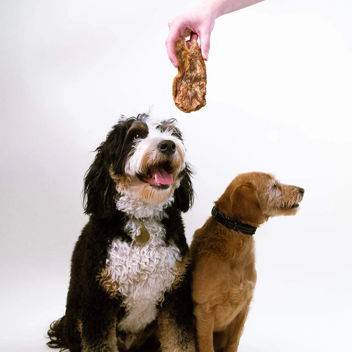 Crunchy Lamb Jerky Treats