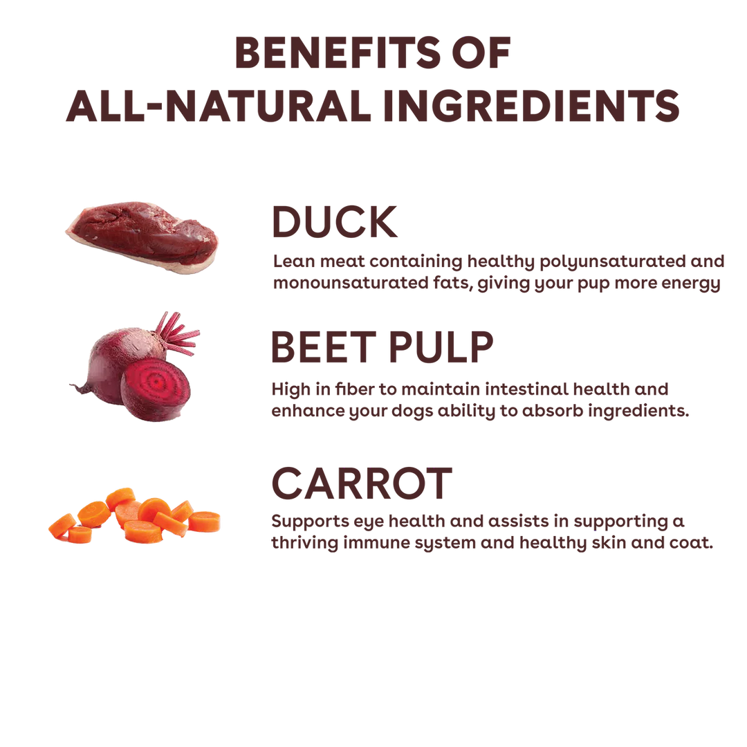Freeze Dried Duck & Veggies Training Treats