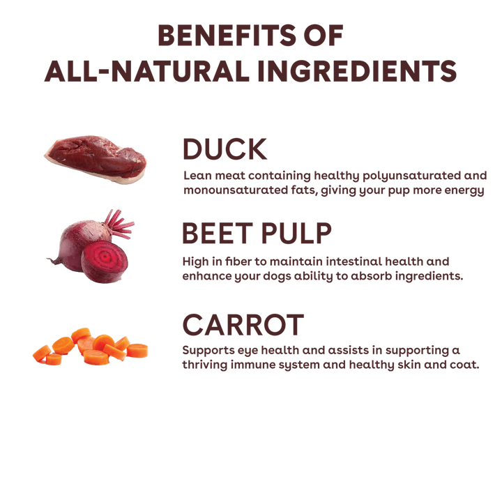 Freeze Dried Duck & Veggies Training Treats