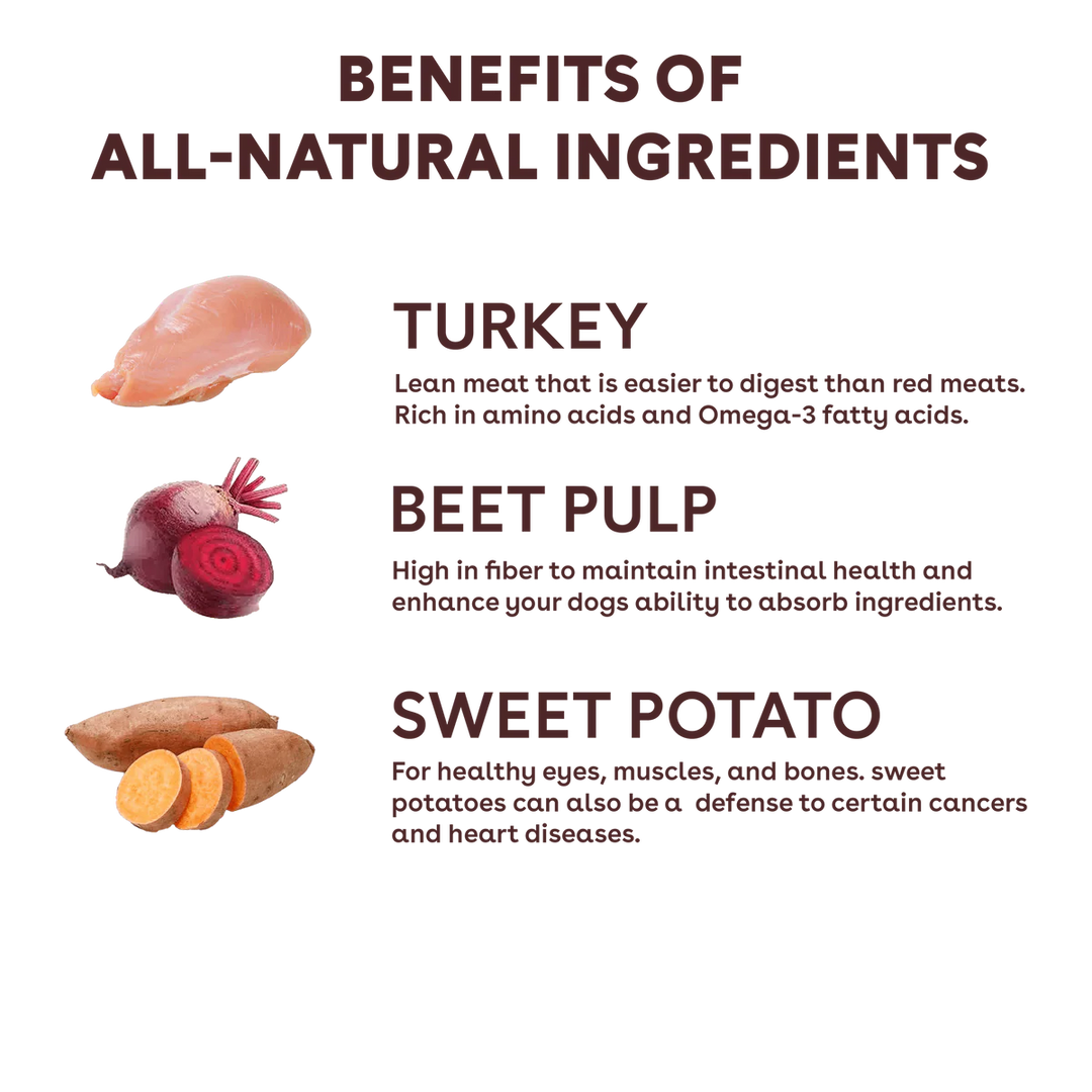 Freeze Dried Turkey & Veggies Training Treats