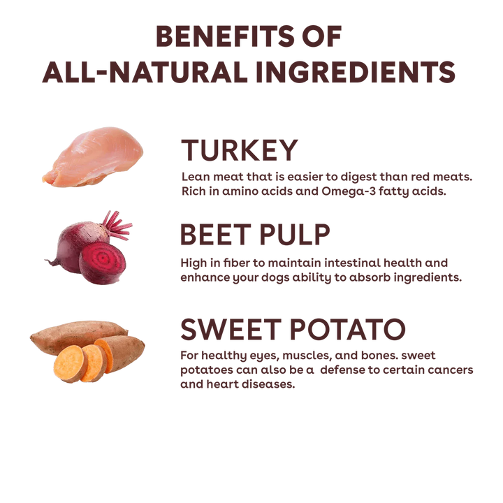 Freeze Dried Turkey & Veggies Training Treats