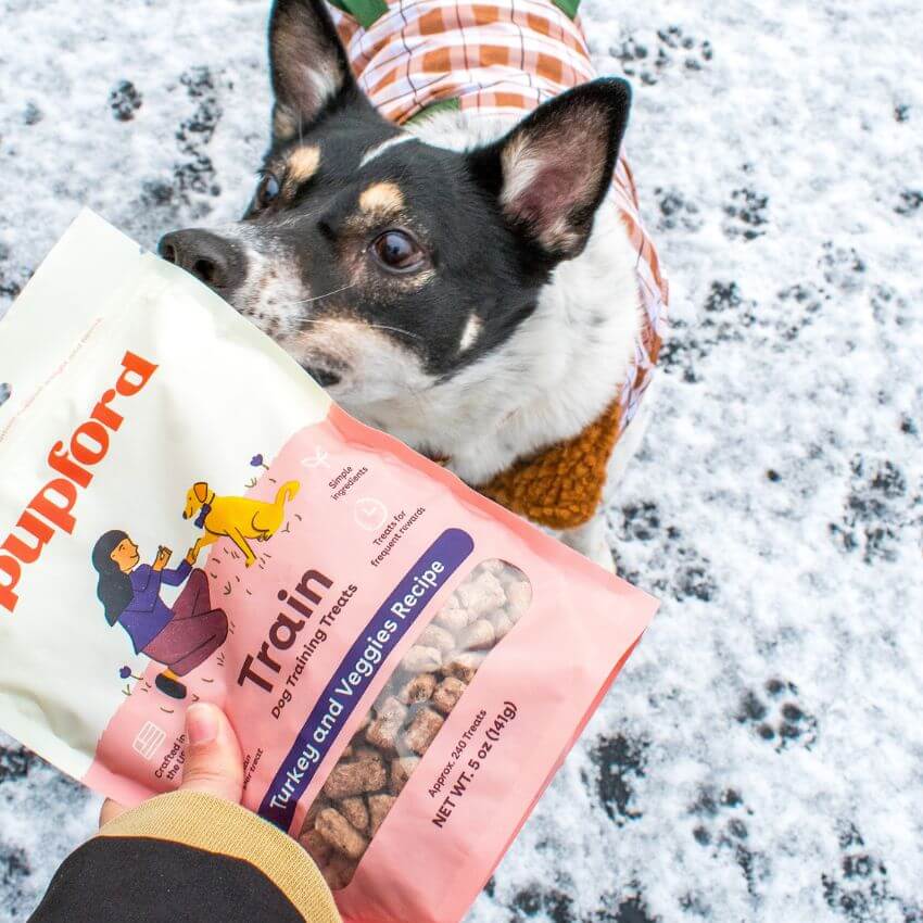Freeze Dried Turkey & Veggies Training Treats