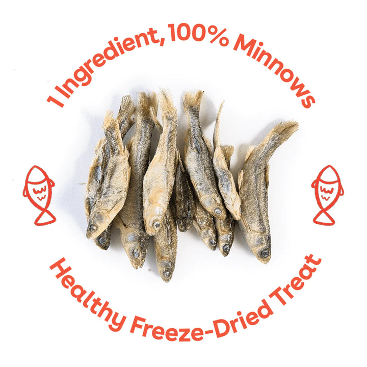 Freeze Dried Minnows
