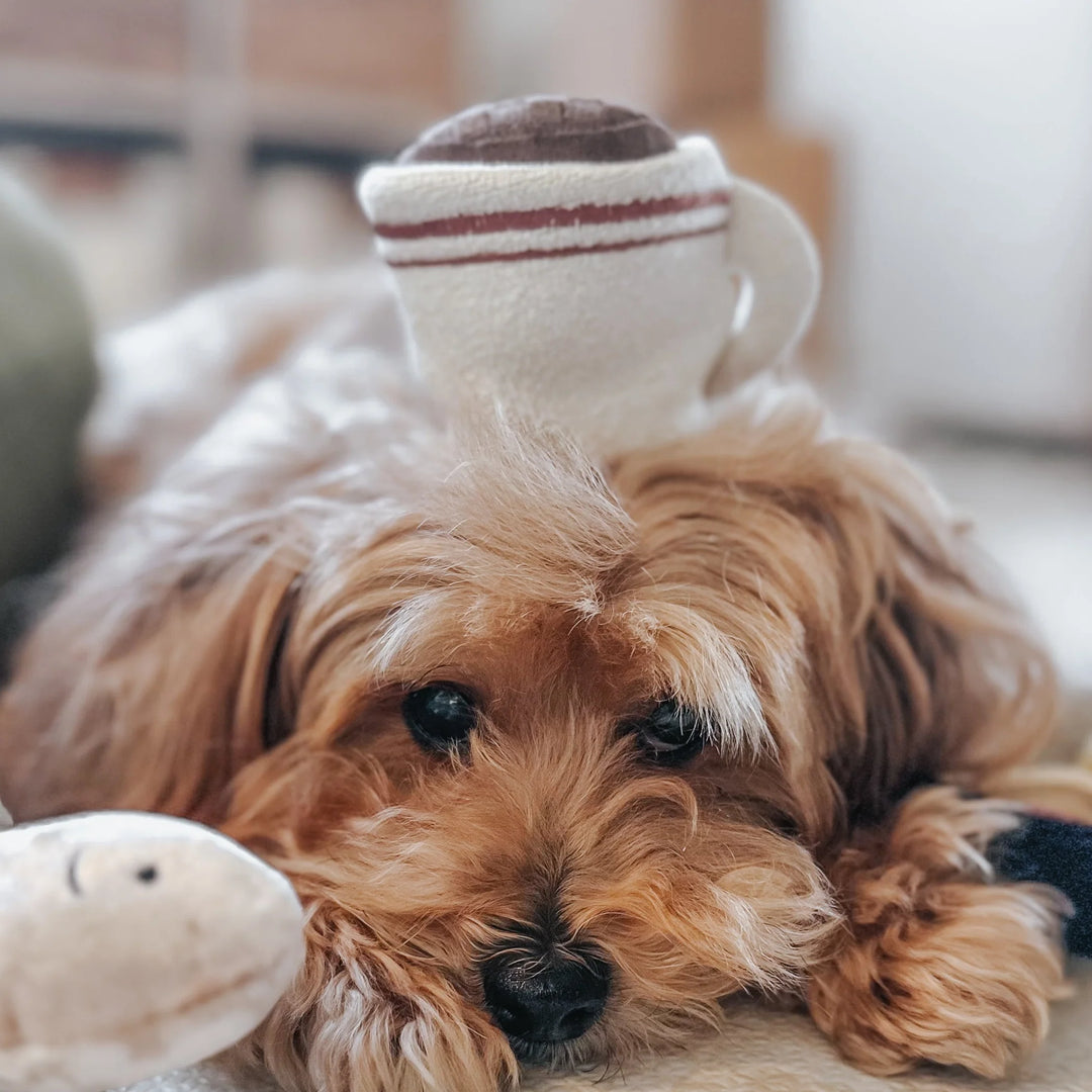 Espresso Pop