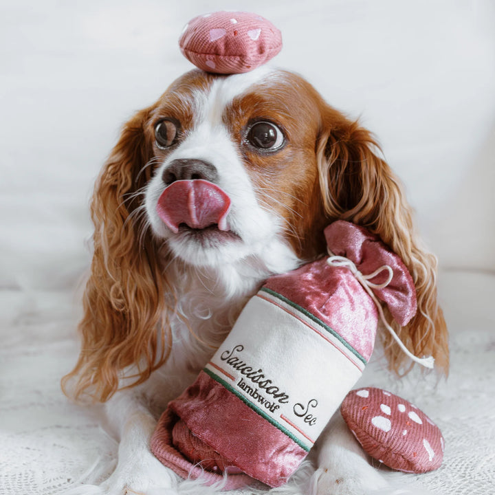 Saucisson Sec
