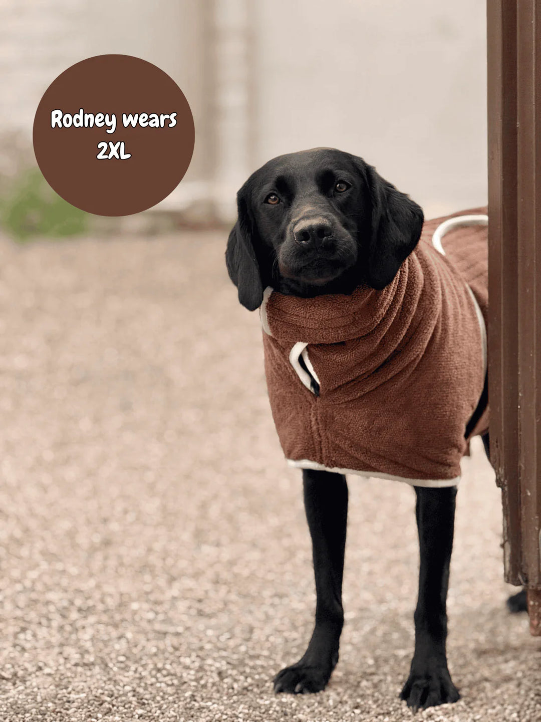 Dog Drying Coat | Espresso