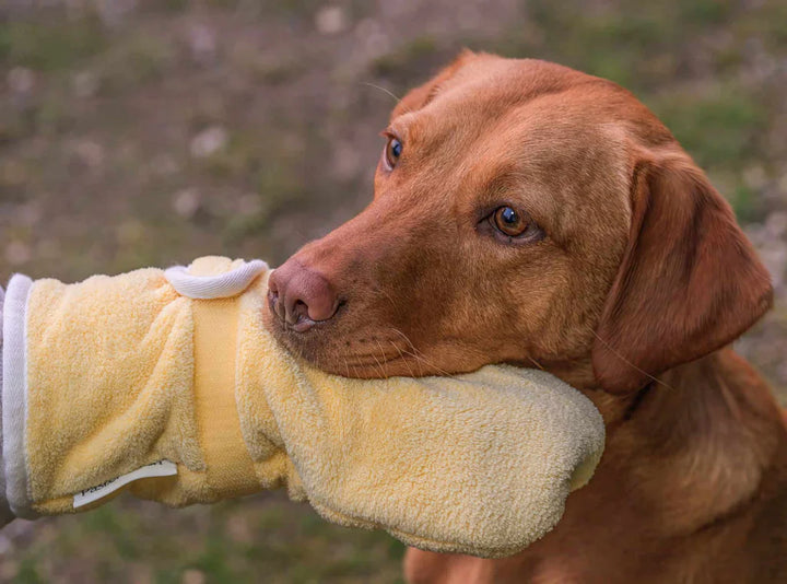 Dog Drying Gloves