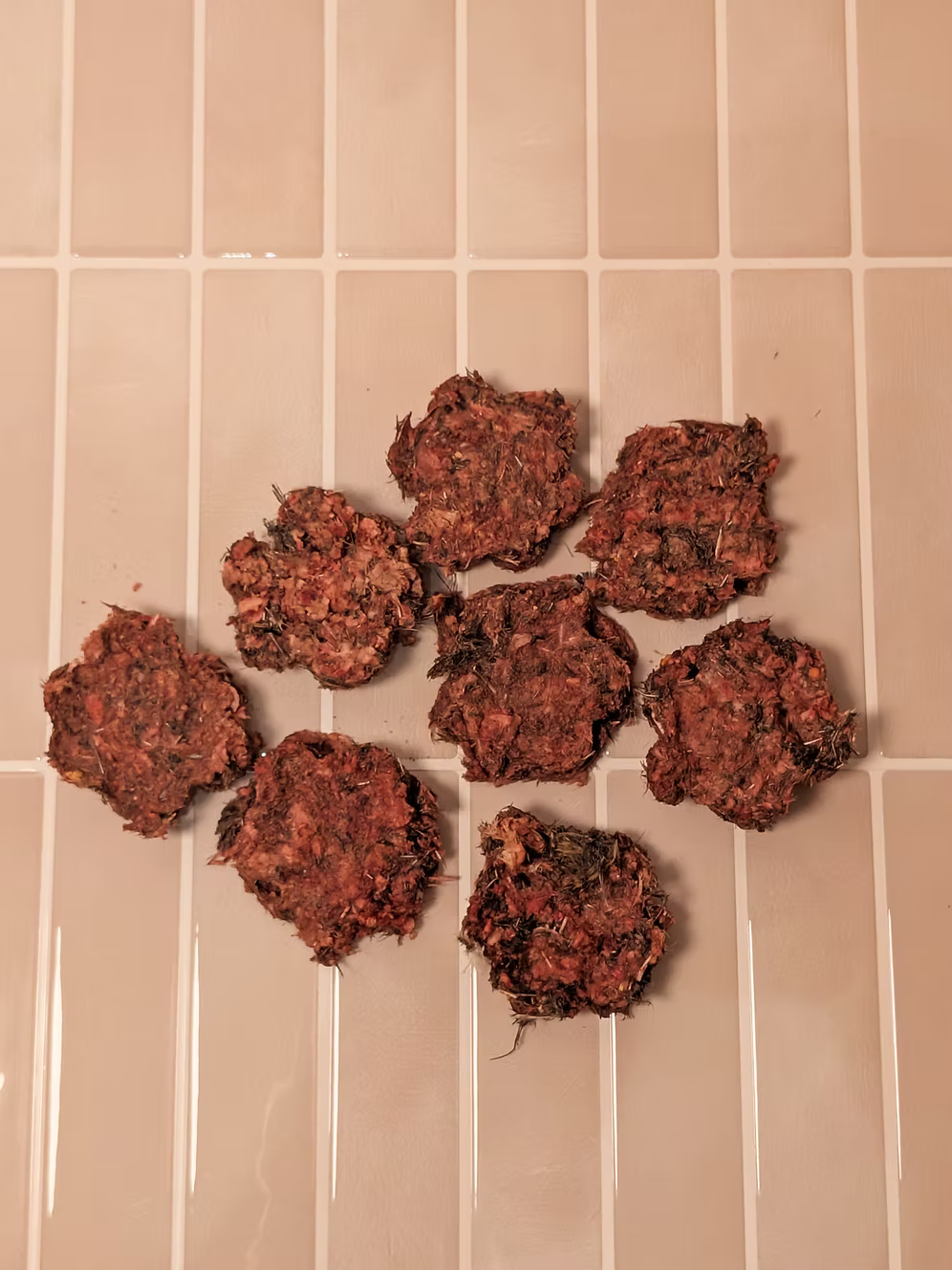 Freeze-Dried Whole-Prey Quail
