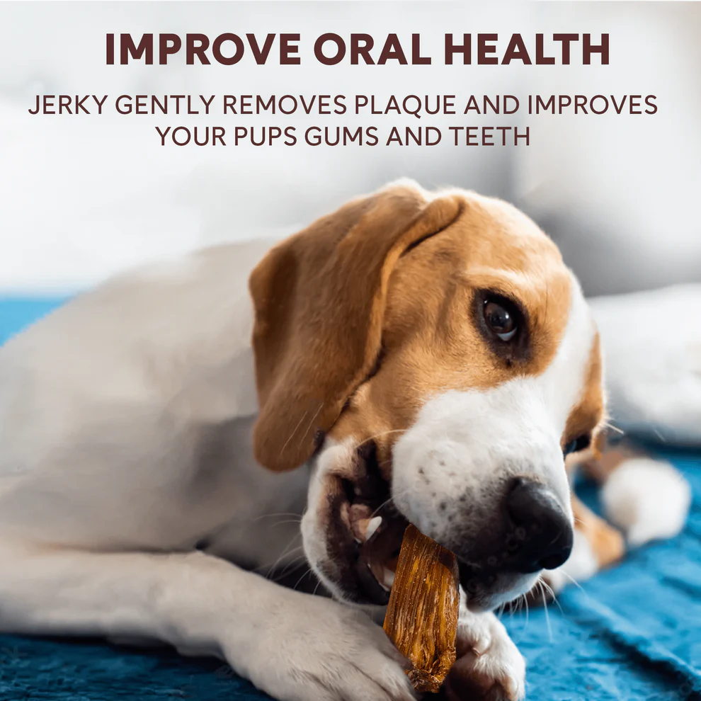 Crunchy Chicken Jerky Treats