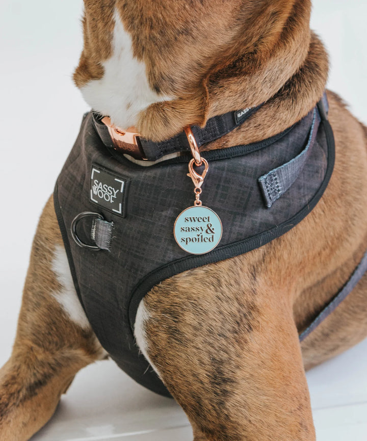 Dog Collar Tag | Sweet, Sassy, and Spoiled