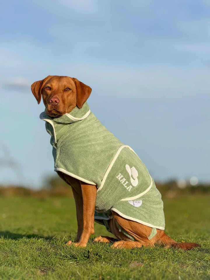 Dog Drying Coat | Sage Green