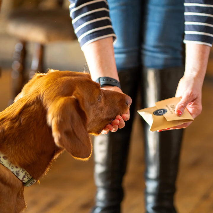 Duck Natural Dog Treats