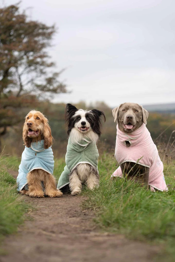 Dog Drying Coat | Candy Floss Blue