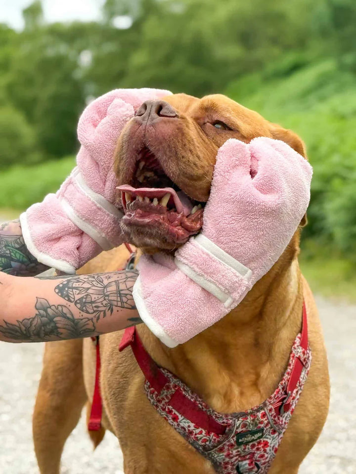 Dog Drying Gloves