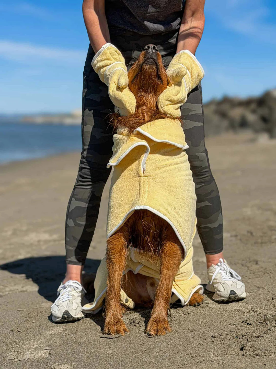 Dog Drying Gloves