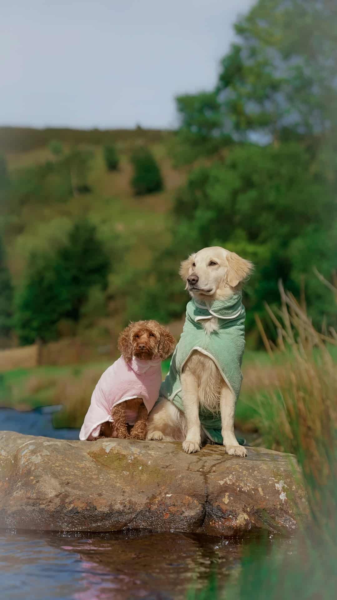 Dog Drying Coat | Bubble Gum Pink