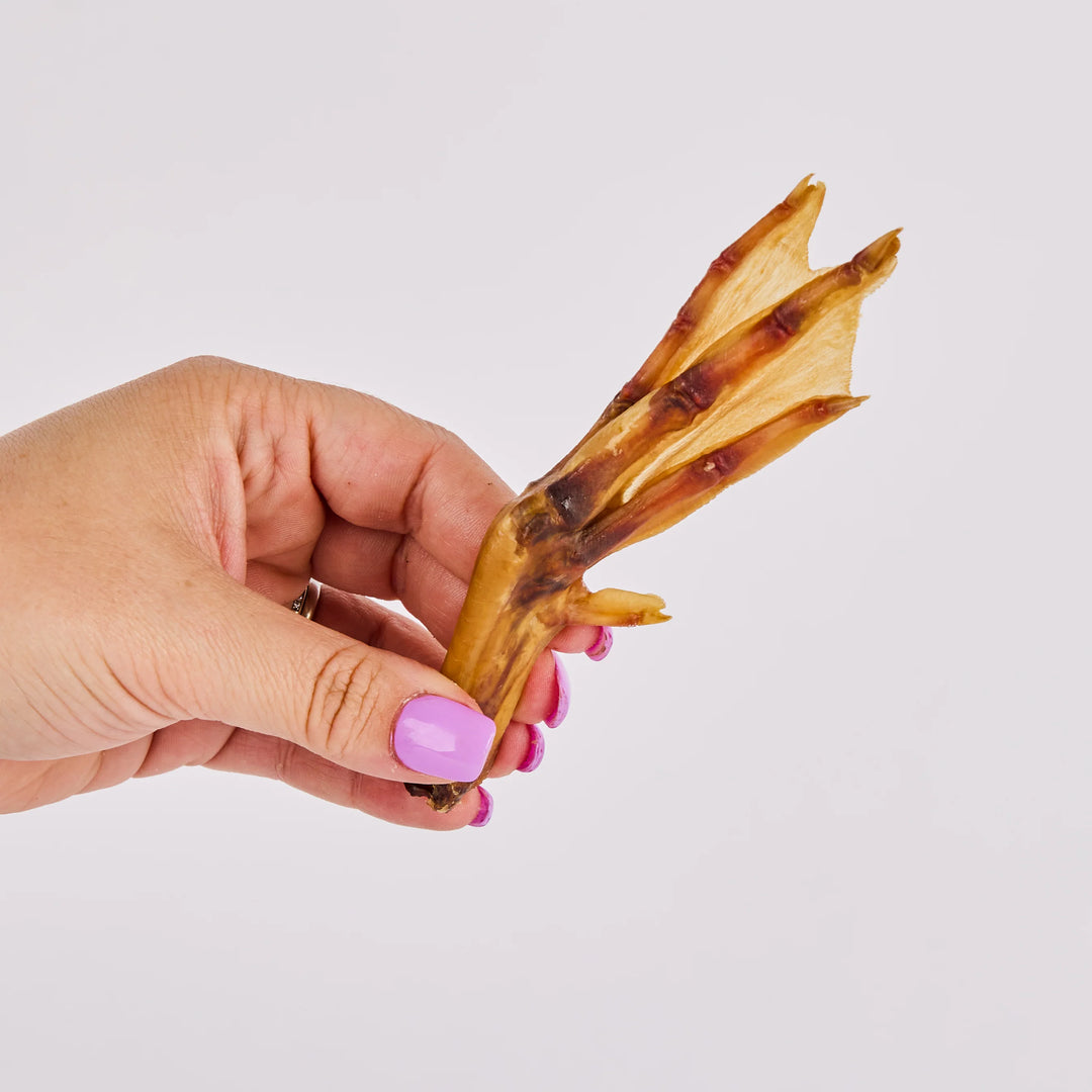 Duck Feet