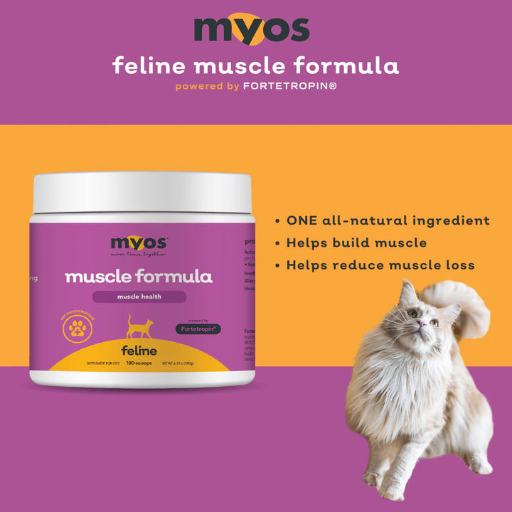 MYOS Feline Muscle Formula